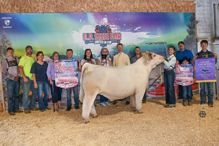 Market beef champion